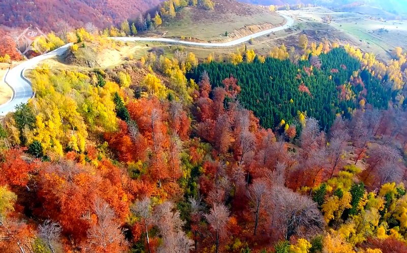 Peisaj de toamnă din România, în top 3 recomandate de Wall Street Journal turiștilor americani