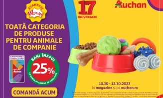 Super oferte la Auchan în această săptămână! 
