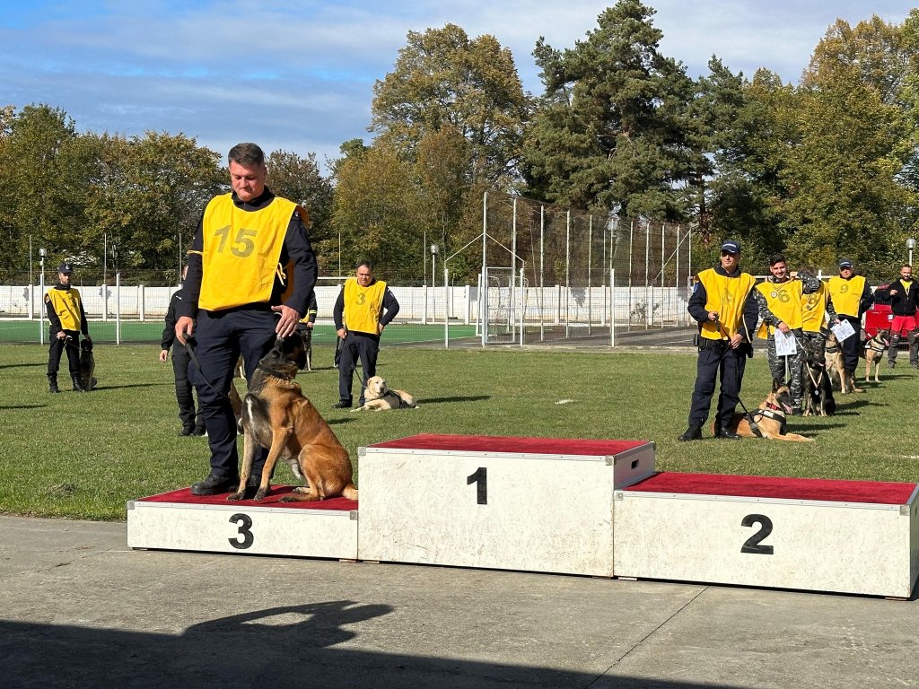 Miro, câinele detectiv al Jandarmeriei Cluj, aduce acasă medalia de bronz de la Campionatul de Dresaj