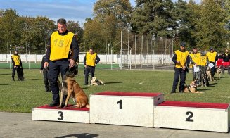 Miro, câinele detectiv al Jandarmeriei Cluj, aduce acasă medalia de bronz de la Campionatul de Dresaj