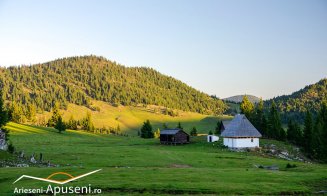 Poiana fermecătoare din Apuseni, vizitată de turiști din întreaga lume! Este la graniță cu județul Cluj