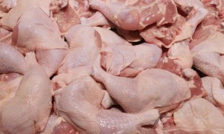 Sute de cazuri de salmonella confirmate în 15 țări din UE. Bacteria ar proveni din carnea de pui