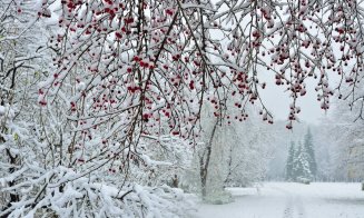 Meteorologii au estimările: ce iarnă ne așteaptă și care va fi luna cu cea mai multă zăpadă