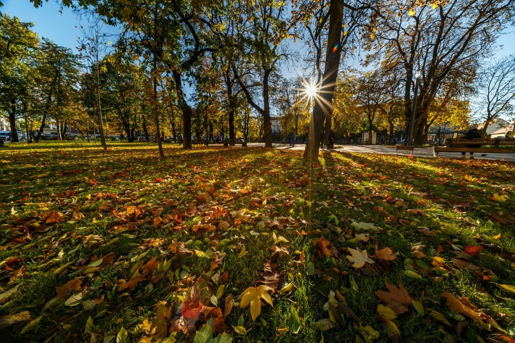 Toamnă superbă la Cluj. Imagini feerice surprinse într-un parc din oraș