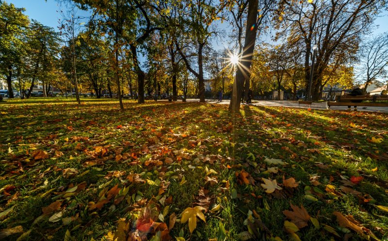Toamnă superbă la Cluj. Imagini feerice surprinse într-un parc din oraș