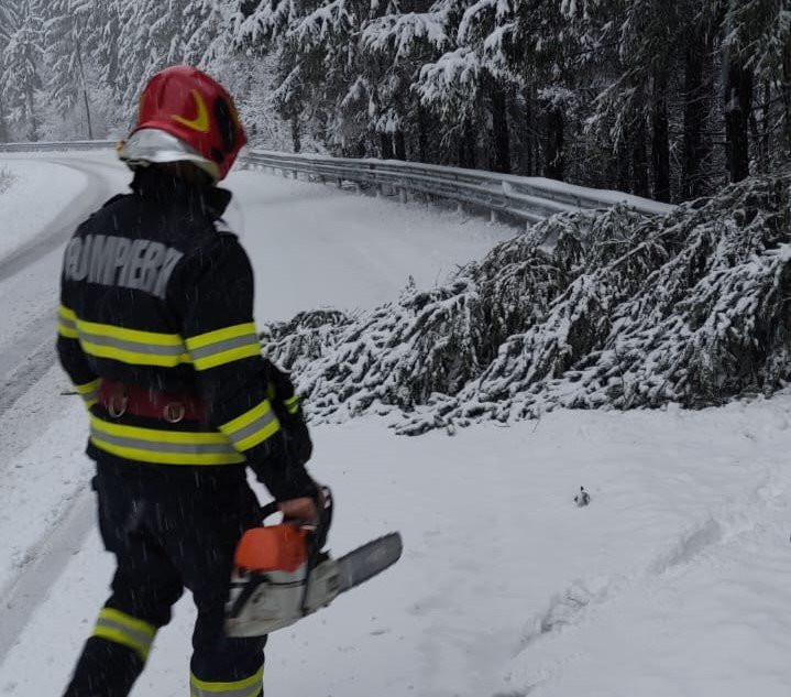 Arbori căzuți pe două drumuri din Cluj. Pompierii au intervenit în forță