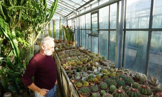 Sera Plantelor Suculente de la Grădina Botanică din Cluj se deschide pentru vizitatori: „O amintire de neuitat”