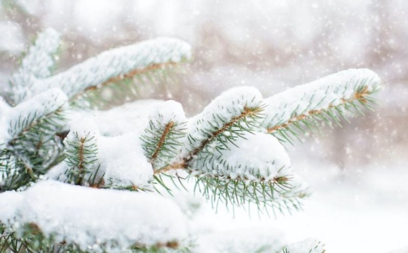 Vin ploile și ninsorile! Meteorologii anunță o vreme schimbătoare în următoarele zile