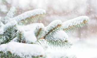 Vin ploile și ninsorile! Meteorologii anunță o vreme schimbătoare în următoarele zile