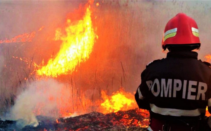 Cabană cuprinsă de flăcări într-o localitate din Cluj. Pompierii intervin cu trei autospeciale