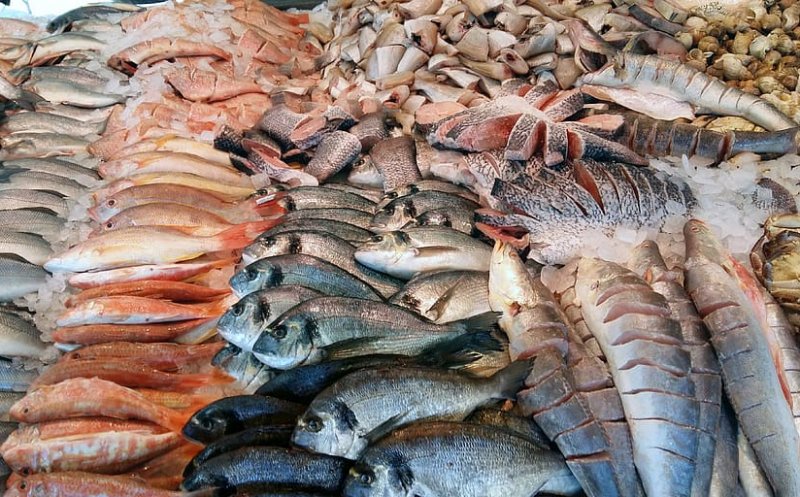 Medic: Trebuie să evităm consumul de peşte exotic şi să fim atenţi la conserve. Pot conţine biotoxine otrăvitoare