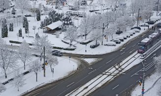 A-nceput de ieri să cadă câte-un fulg, apoi a nins ca-n povești la Cluj-Napoca