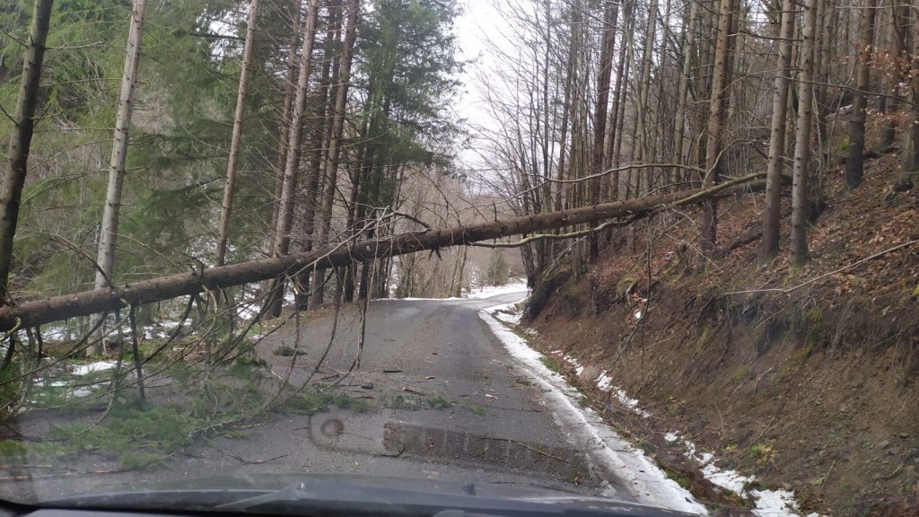 Arbori căzuți pe un drum din judeţul Cluj. Intervin pompierii