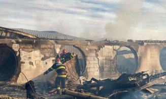 Incendiul devastator de la Ferma Dacilor. A șaptea victimă este un COPIL,  găsit carbonizat