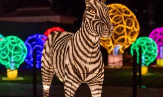 Iulius Parc s-a transformat în „The Glowing Garden”. Peste 170 de instalații luminoase în expoziția care mai poate fi vizitată până pe 20 ianuarie