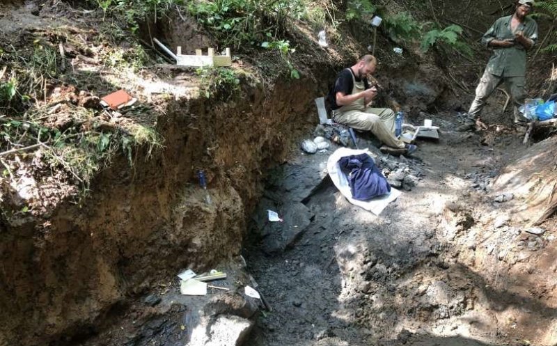 Fosile de dinozaur, unice în lume, descoperite în Transilvania. Fragmentele osoase au o vechime de 70 de milioane de ani