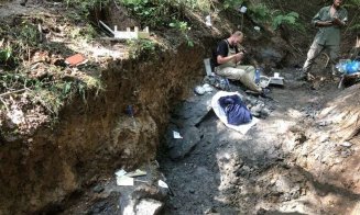 Fosile de dinozaur, unice în lume, descoperite în Transilvania. Fragmentele osoase au o vechime de 70 de milioane de ani