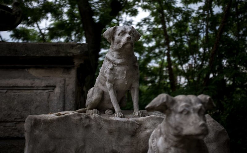Clujul va avea un cimitir pentru animale. Boc: "E o promisiune pe care vreau să o onorez"
