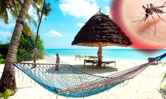 Zanzibar, vacanţa de vis în care te poţi infecta cu MALARIE de la o înţepătură de ţânţar / 11 cazuri în 3 luni. 4 în stare gravă