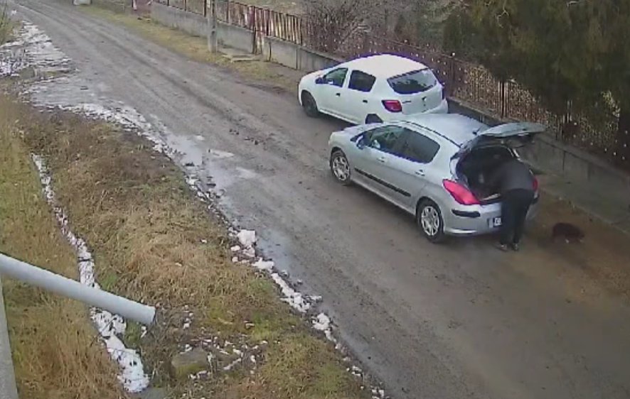 Caz revoltător într-o comună din Cluj. Un bărbat a abandonat trei cățeluși în plină stradă dar a fost surprins de camere și dat în vileag: „Viața lor nu este gunoi!”