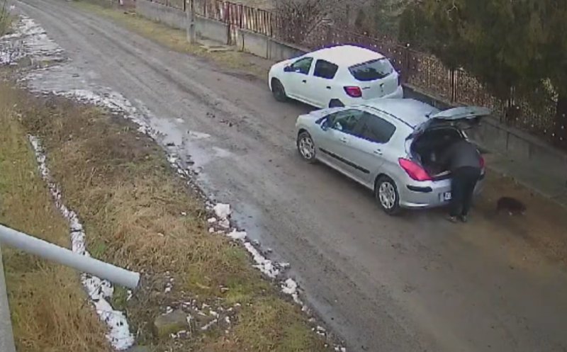 Caz revoltător într-o comună din Cluj. Un bărbat a abandonat trei cățeluși în plină stradă dar a fost surprins de camere și dat în vileag: „Viața lor nu este gunoi!”