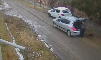 Caz revoltător într-o comună din Cluj. Un bărbat a abandonat trei cățeluși în plină stradă dar a fost surprins de camere și dat în vileag: „Viața lor nu este gunoi!”