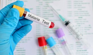 Care sunt simptomele MALARIEI și cum se face profilaxia/ LISTA țărilor endemice de malarie