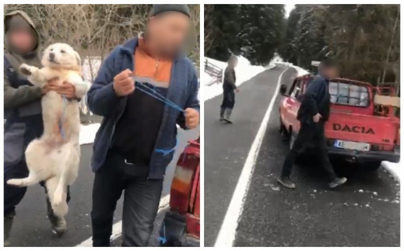 Cei trei bărbați filmați în timp ce abandonau câini în Poiana Horea sunt buni de plată. Au primit o amendă uriașă