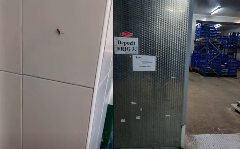Gândaci pe pereți la Unicarm, practici înșelătoare și marfă expirată. ANPC Cluj închide temporar trei locații. Amendă de 1 mil. lei pentru lanțul comercial