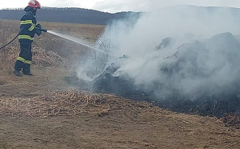 Două mari incendii de vegetație, lichidate de pompierii clujeni