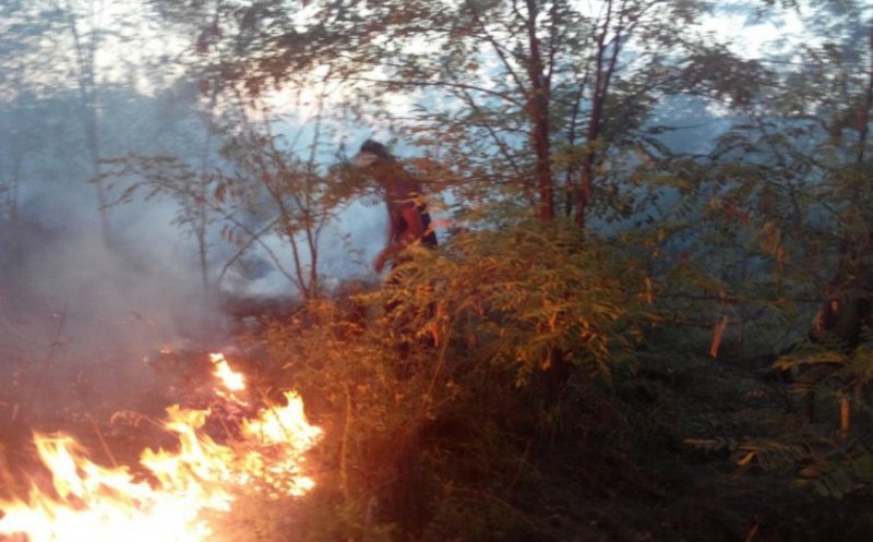 Incendiile de vegetație fac victime. Un bărbat a fost găsit mort lângă flăcări