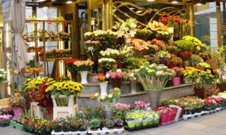 Cluj-Napoca, în topul comenzilor de 8 Martie din Europa de Sud-Est. Care sunt cele mai cumpărate flori de Ziua Femeii