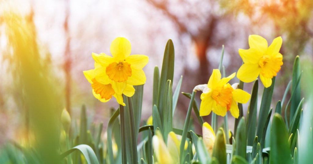 Meteorologii au actualizat prognoza! Cum va fi vremea până pe 15 aprilie