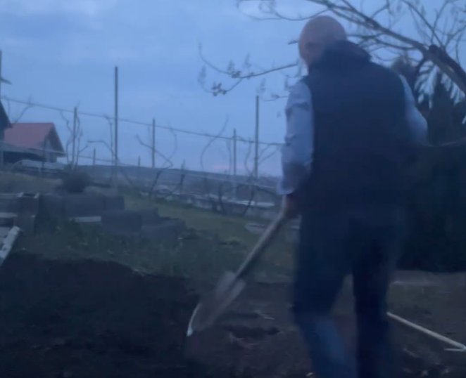 Primarul Clujului, Emil Boc, își pregătește grădina pentru recoltă: „Roșii bio, sănătate curată!”