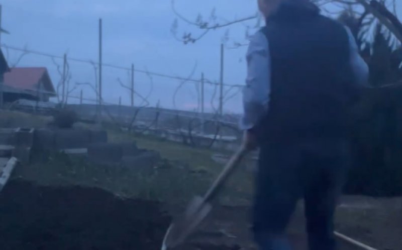 Primarul Clujului, Emil Boc, își pregătește grădina pentru recoltă: „Roșii bio, sănătate curată!”