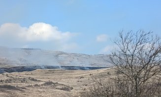 10 hectare pârjolite într-o localitate din județul Cluj / Dezastru ecologic provocat de incendiile de vegetație