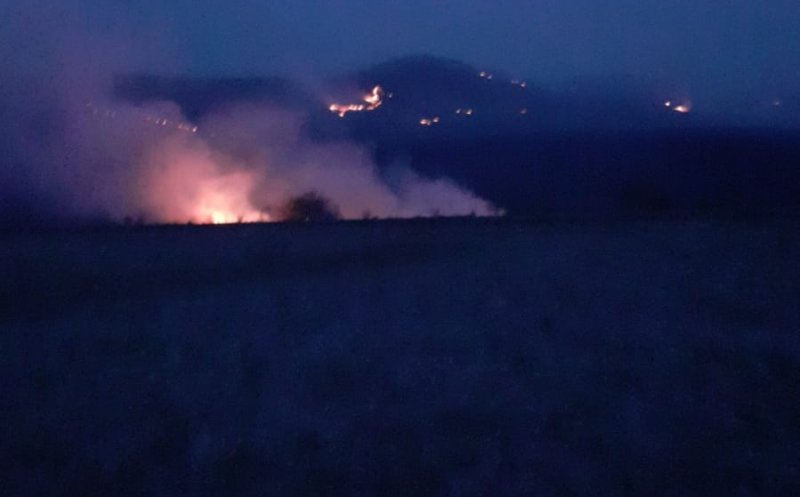 10 hectare pârjolite într-o localitate din județul Cluj / Dezastru ecologic provocat de incendiile de vegetație