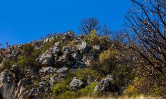 A venit primăvara în Cheile Turzii. Imaginile sunt SUPERBE