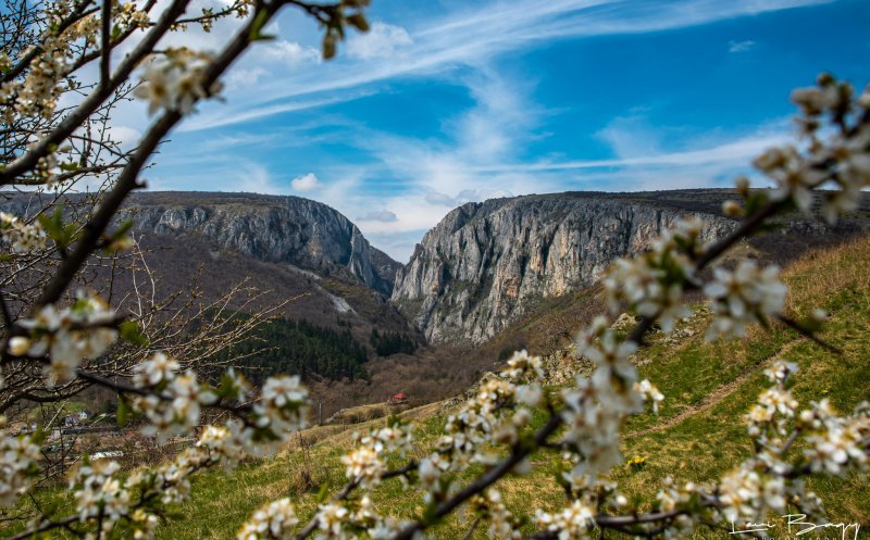 A venit primăvara în Cheile Turzii. Imaginile sunt SUPERBE