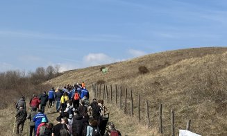 Clujul este mai bogat cu o pădure! Distribuție Energie Electrică Romania plantat 6500 de puieți în localitatea Pruniș