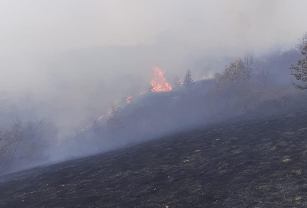 Incendiu de vegetație într-o comună din Cluj. Pompierii luptă să stingă flăcările