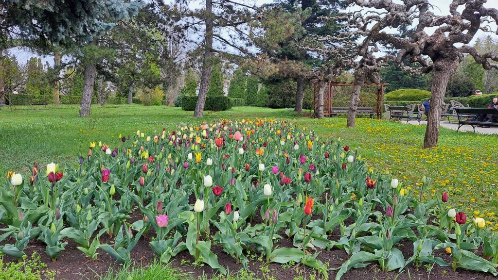 Care sunt cele mai apreciate "oaze verzi" din România. Pe ce loc se află Grădina Botanică din Cluj