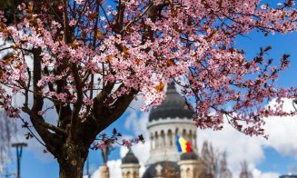 Primăvara își face simțită prezența în Cluj-Napoca
