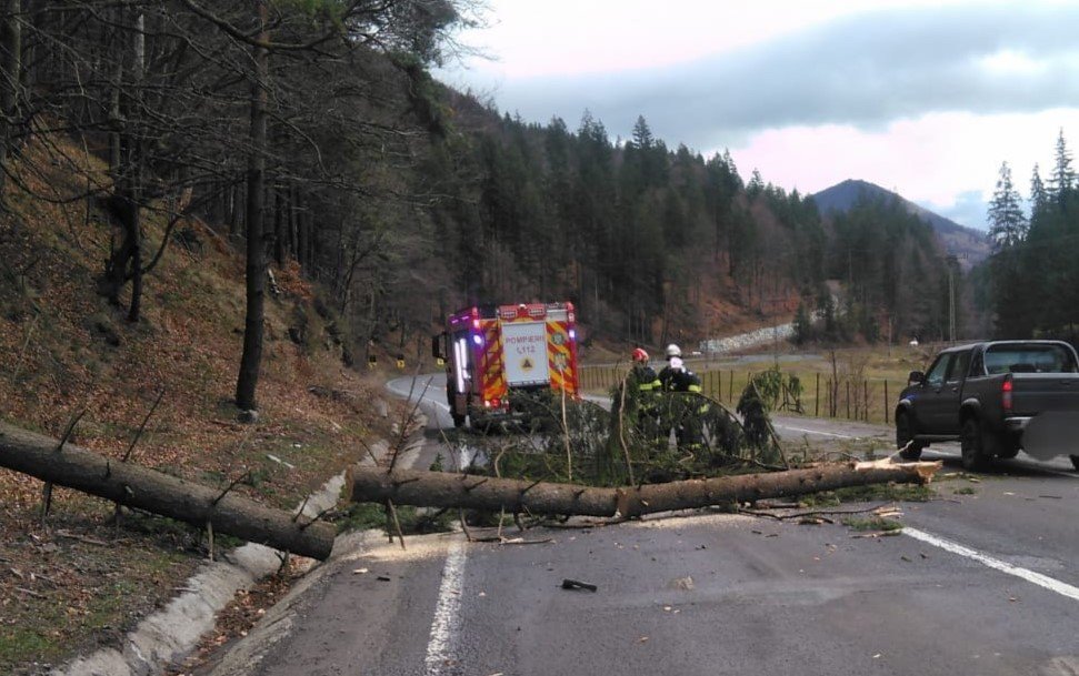 Trei copii au ajuns la spital după ce un copac a căzut peste mașina în care se aflau