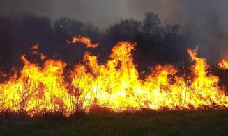 Incendiu de vegetație în județul Cluj. Focul se manifestă pe câteva sute de metri pătrați