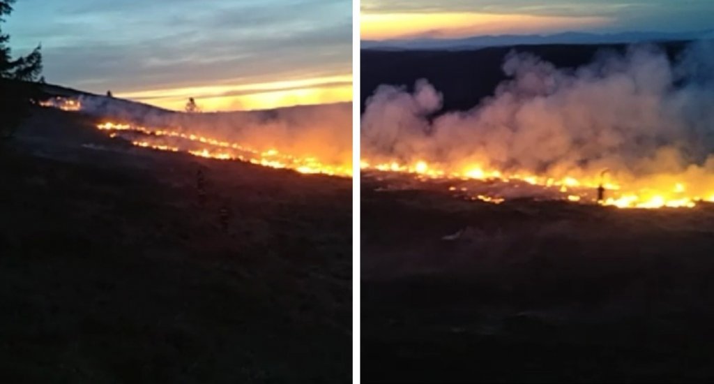 Zeci de hectare pârjolite în cinci comune din Cluj. Pompierii continuă lupta cu incendiile de vegetație uscată