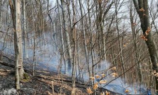 Incendiu masiv de vegetaţie în două comune din Apuseni. Pompierii din Alba au intervenit