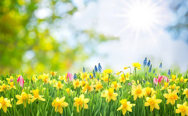 Prognoză nouă de la meteorologi! Cum va fi vremea de 1 Mai și de Paște
