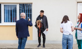 De ce acte ai nevoie pentru a adopta un cățel fără stăpân la Cluj-Napoca