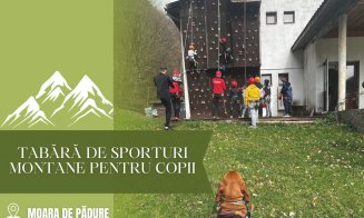 Ateliere de escaladă, tiroliană și trasee în parcul de corzi, în weekend, în tabăra organizată pentru elevii de la casele de copii